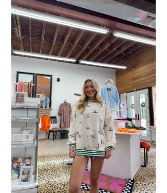 Little Daisy Closet STRIPED DUCK PRINT PULLOVER