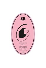 Sparkling Extra Brut Rose, Bairrada, 3B Método Tradicional Rosé, Filipa Pato NV
