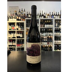 Merlot, UNDERCOVER, Veneto, Italy, Calalta 2020