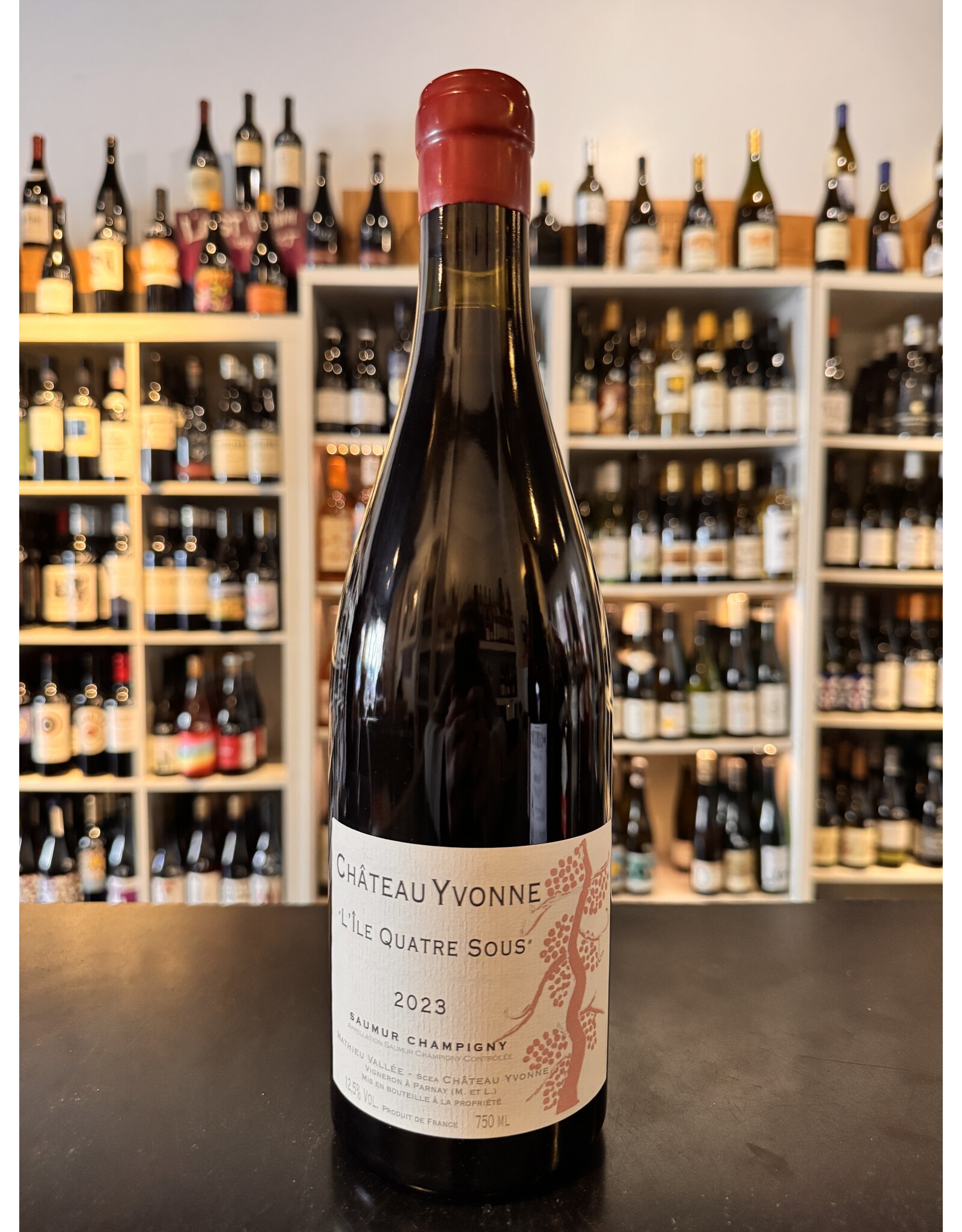 Cabernet Franc, L'ile Quatre Sous, Saumur Champigny, Chateau Yvonne 2023