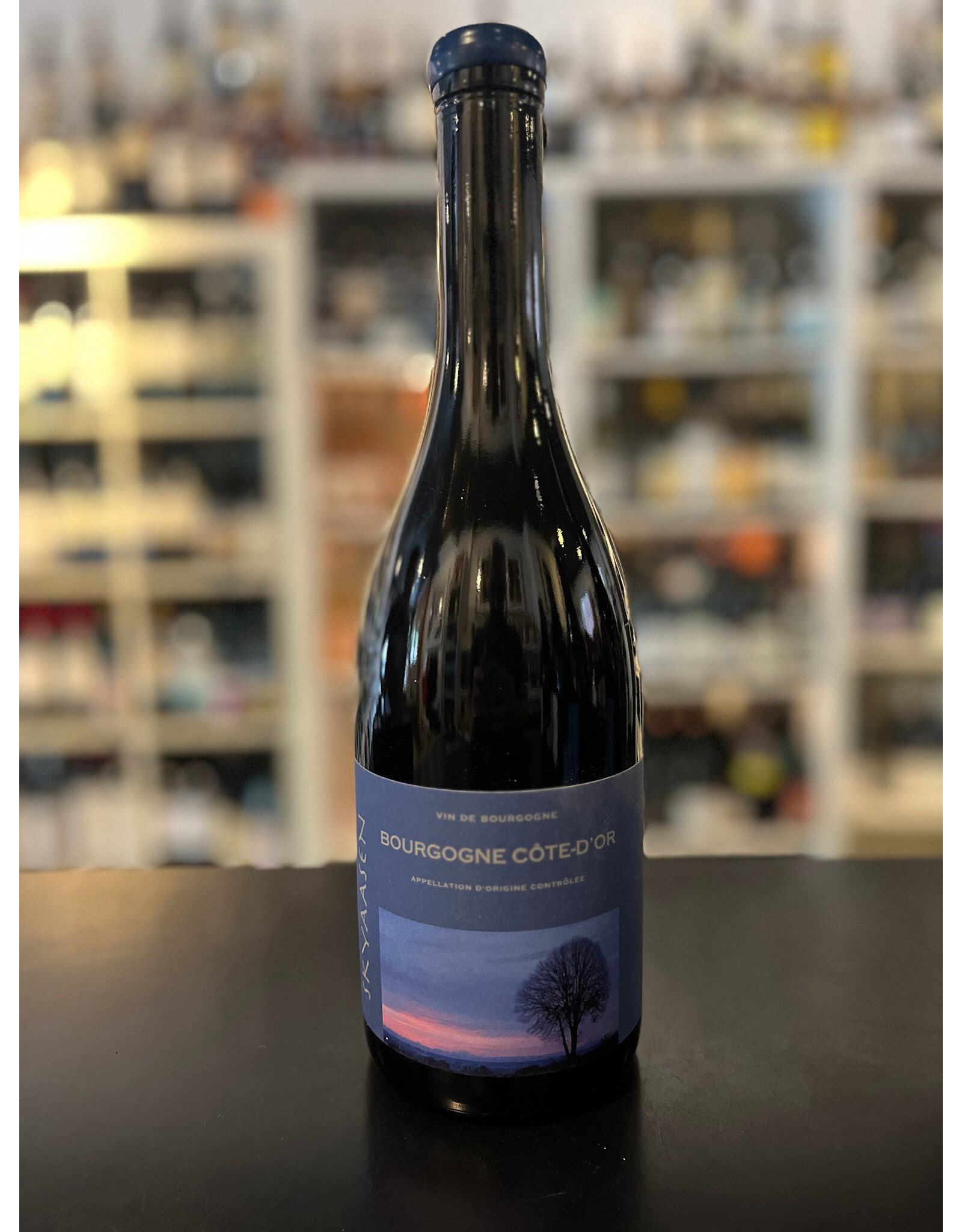 R Burgundy, Bourgogne Rouge , Skyaasen 2023