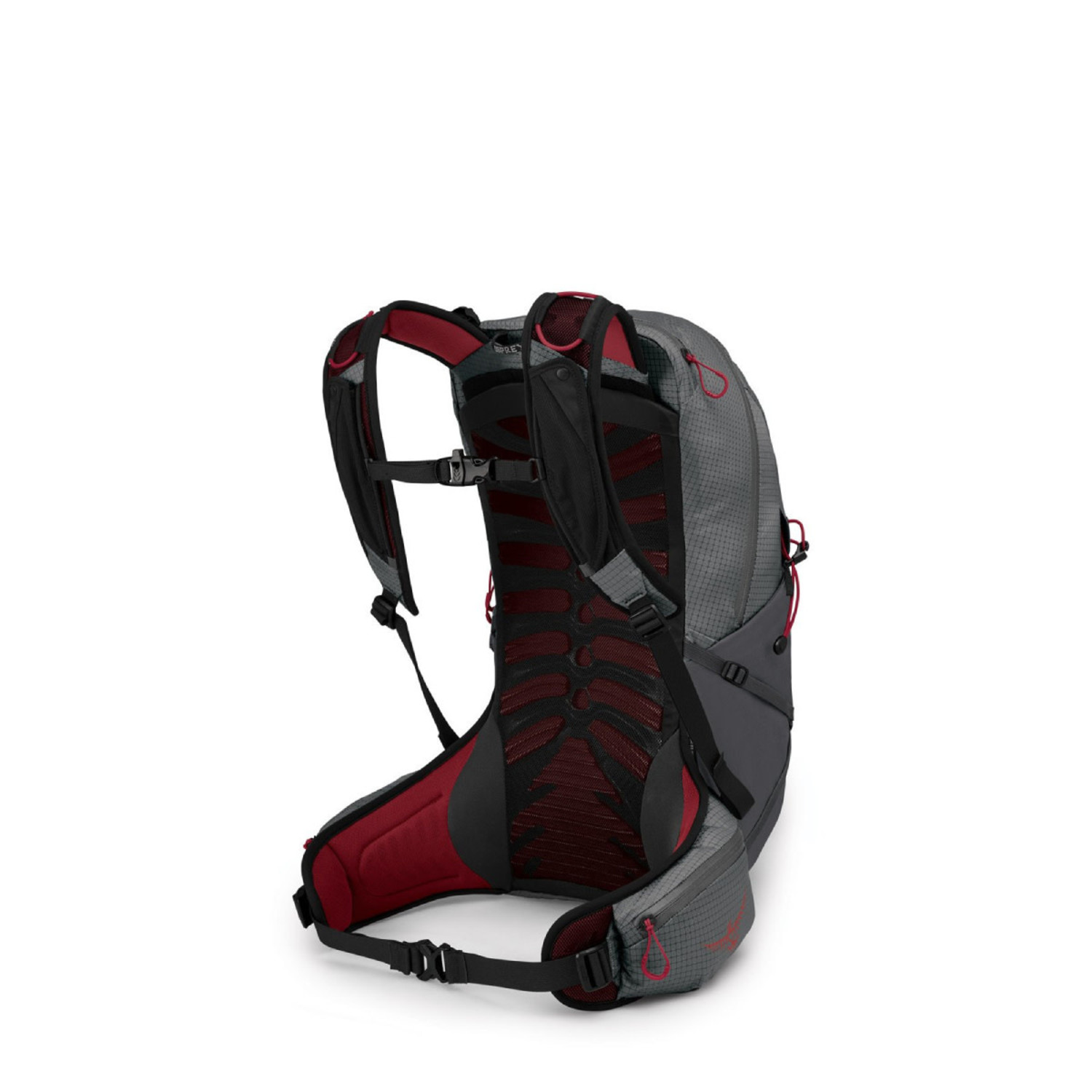 Osprey Men's Talon Pro 20 Backpack - True Outdoors