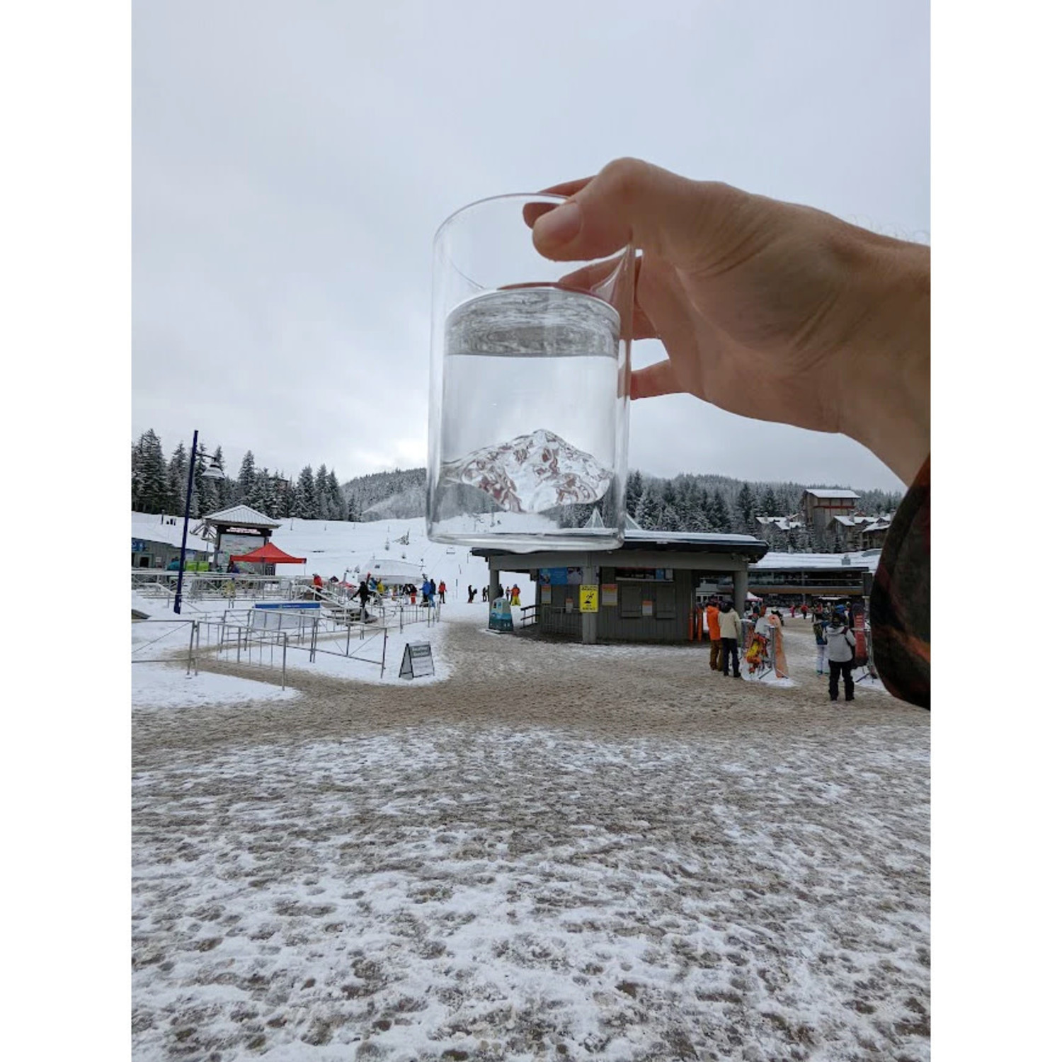 MTNPK Glassware Whistler Blackcomb Collection - True Outdoors