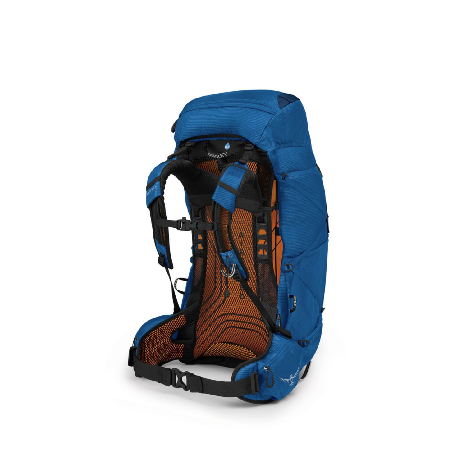 Osprey Men's Exos 58 Backpacking Pack True Outdoors