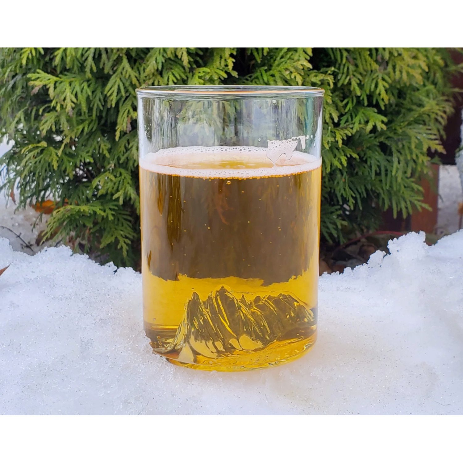 North Drinkware- Mt. Rainier Pint- 16 oz