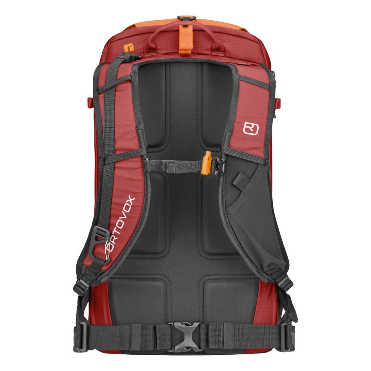 Ortovox Ravine 28 Freeride Ski Pack - True Outdoors