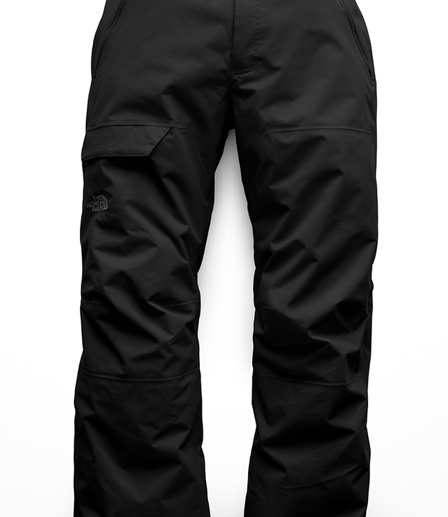 north face m seymore pant