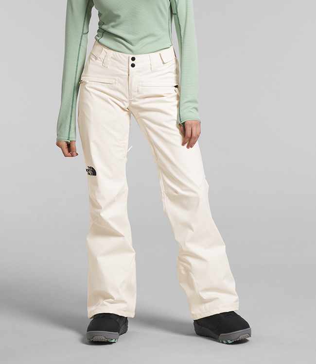 The North Face Men's Sidecut Gore-Tex Pant