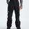 The North Face Men's Freedom Pant