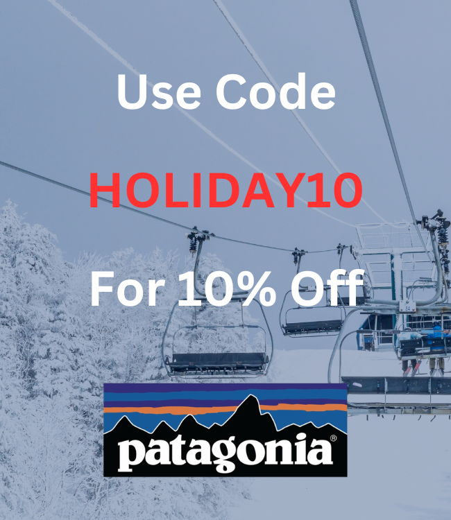 Patagonia Men's Down Sweater Hoody