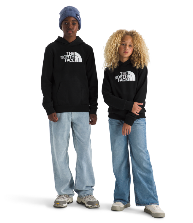 The North Face Teen Evolution Half Dome Pullover