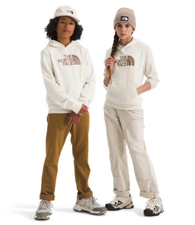 The North Face Teen Evolution Half Dome Pullover