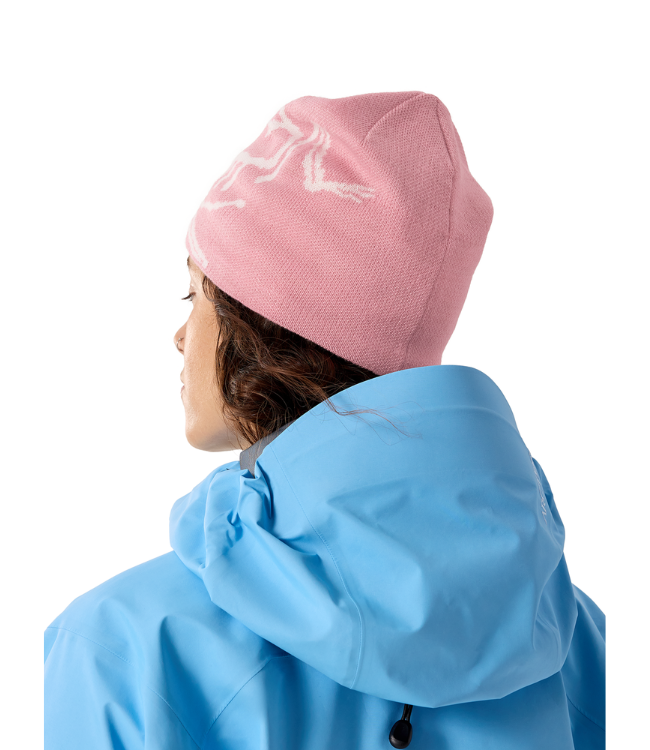 Arc'Teryx Bird Head Toque