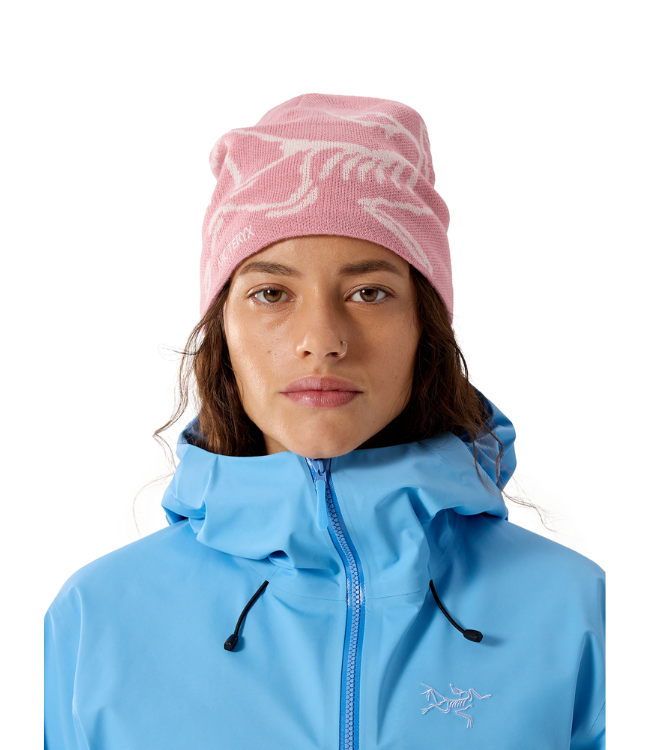 Arc'Teryx Bird Head Toque