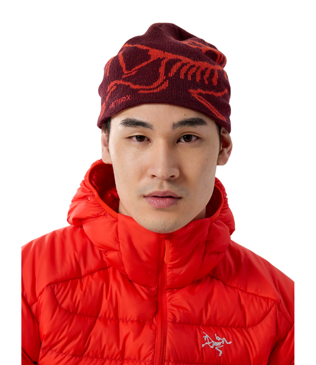 Arc'Teryx Bird Head Toque