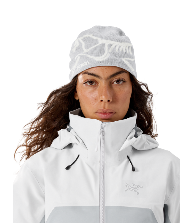 Arc'Teryx Bird Head Toque
