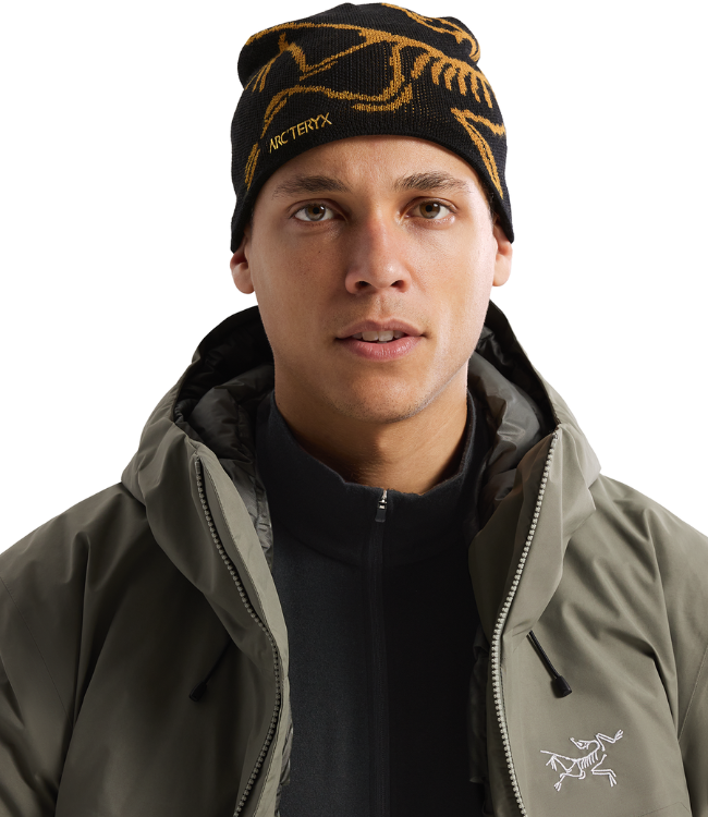 Arc'Teryx Bird Head Toque