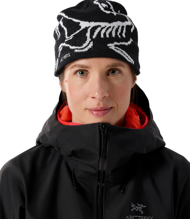 Arc'Teryx Bird Head Toque