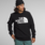 The North Face Men's Tekno Logo Hoodie