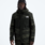The North Face Men's Freedom Insulated Jacket - Print