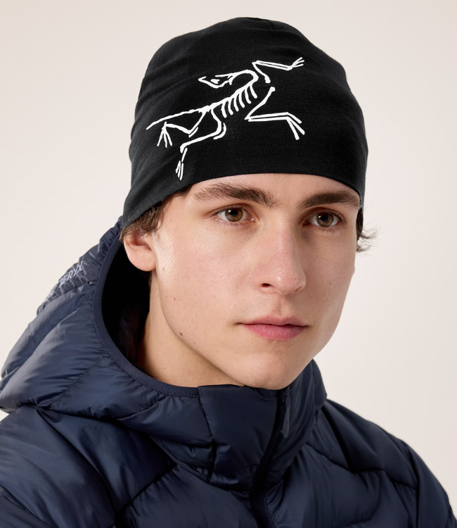 Arc'Teryx Satoro Merino Toque