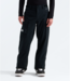 The North Face Men's Freedom Pant