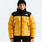 The North Face Women's Summit Nuptse Jacket