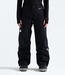 The North Face Women's Eastwall GTX Pant