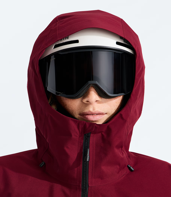 The North Face Women's Summit Eastwall GTX Jacket