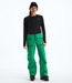 The North Face Women's Summit Tsirku Pro Bib