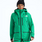 The North Face Women's Tsirku GTX Pro Jacket