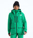The North Face Women's Tsirku GTX Pro Jacket