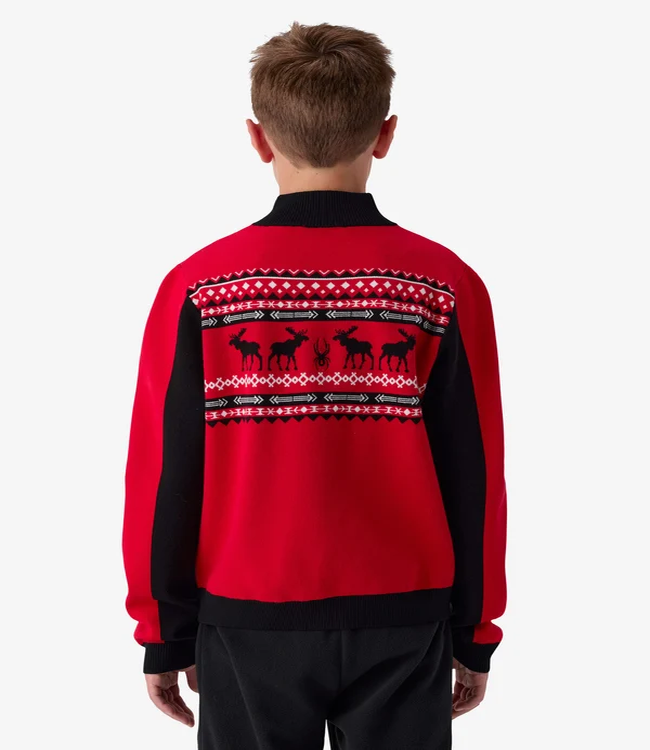 Spyder Boy's Blizzard Ski Sweater