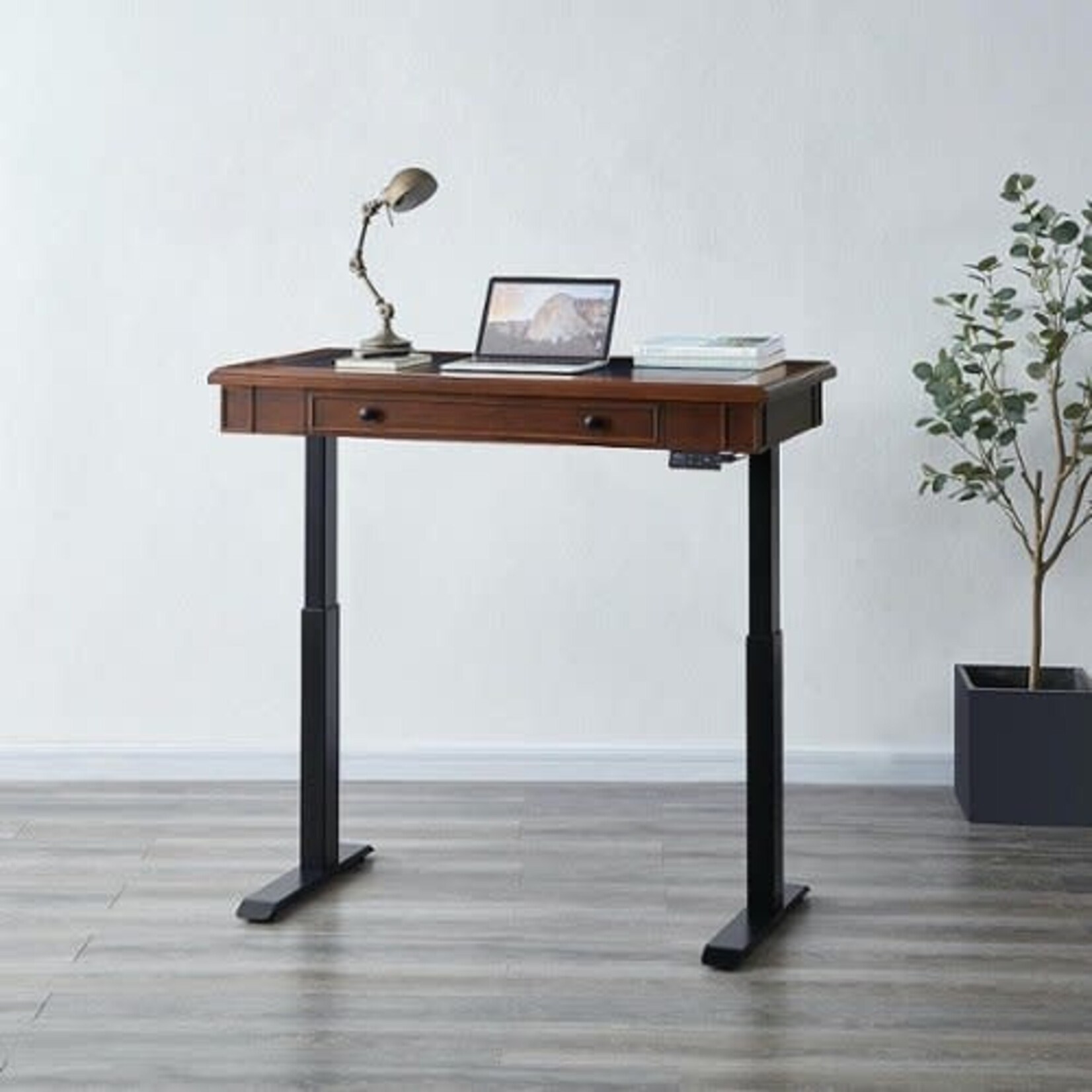 #1526476 Daneé 60" Electric Height-Adjustable Sit-Stand Desk