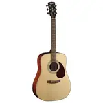 *Earthpackop-A-U Cort Acoustic Guitar Earth Pack Bundle