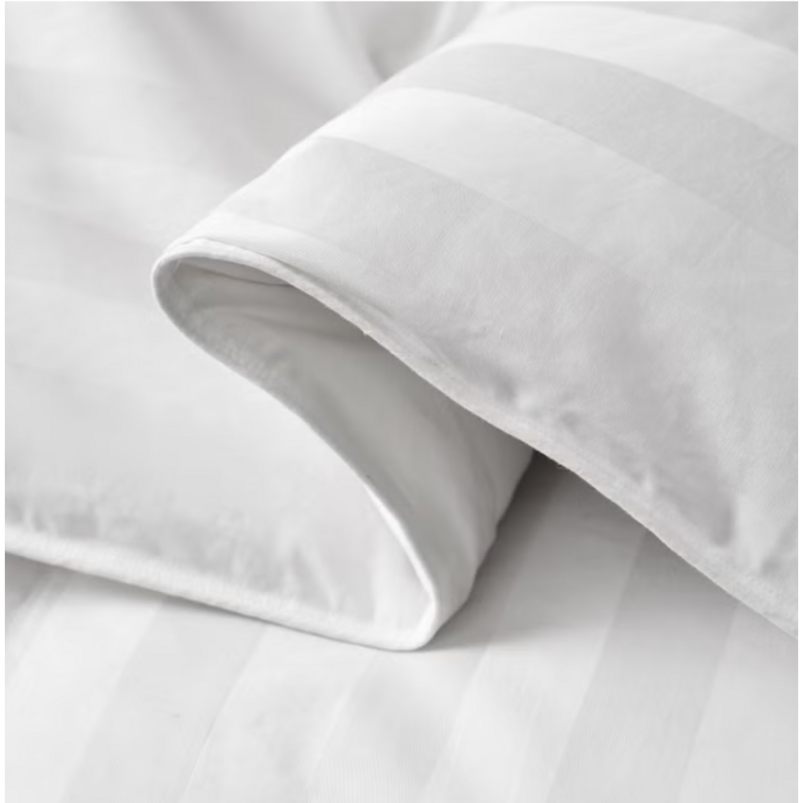 HOTEL GRAND Hotel Grand White Down Comforter [ QUEEN ]