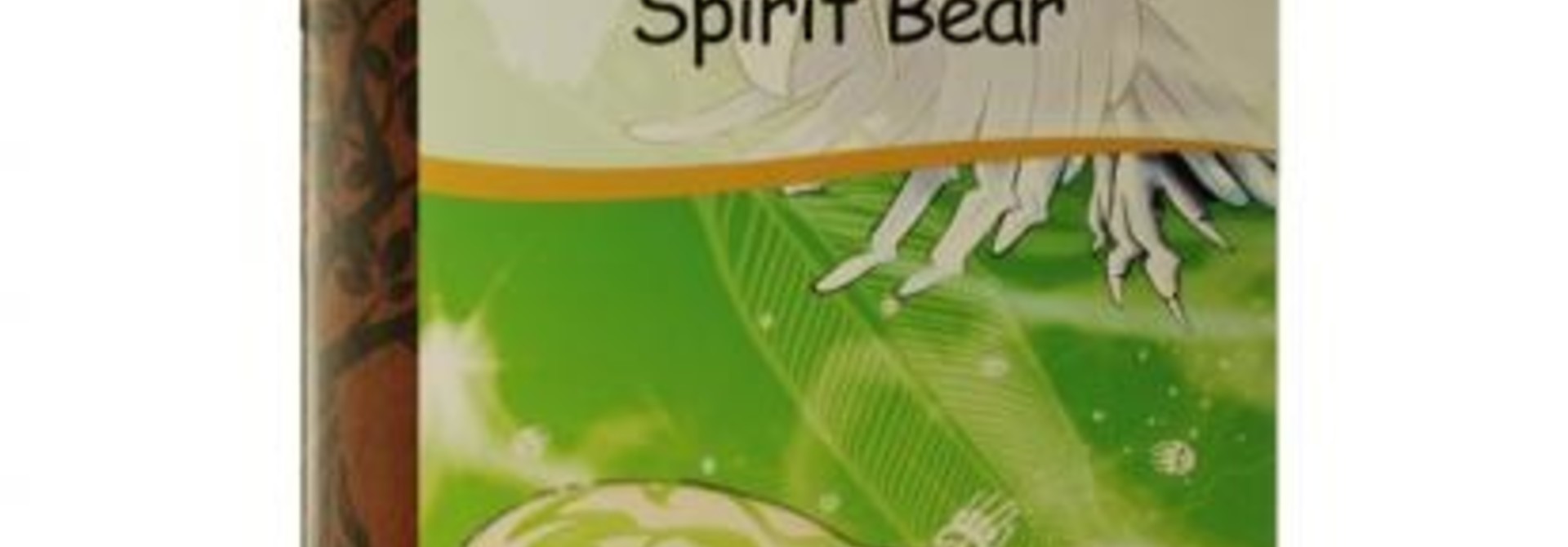 Book - Spirit Bear