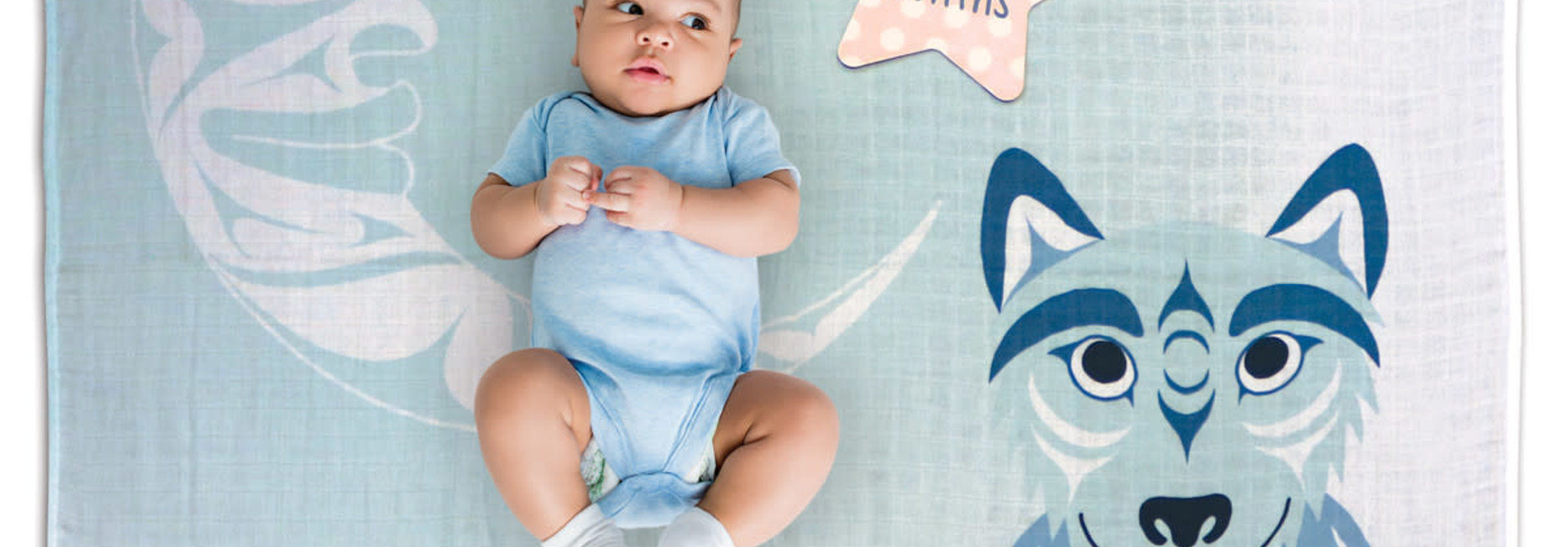 Baby Blanket and Milestone Sets