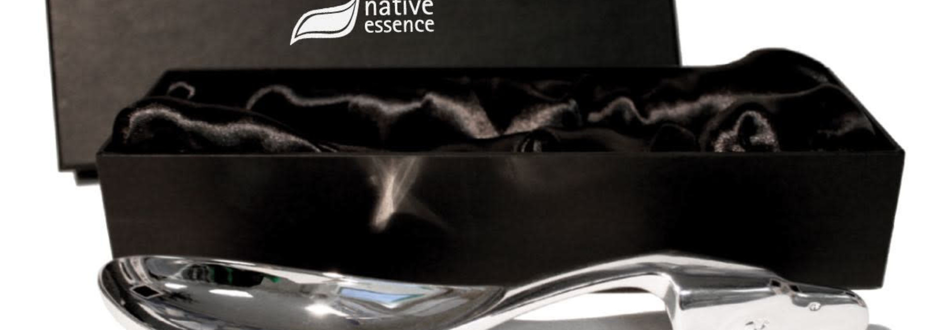 Silver Ladle-Eagle Spirit by Terry Starr