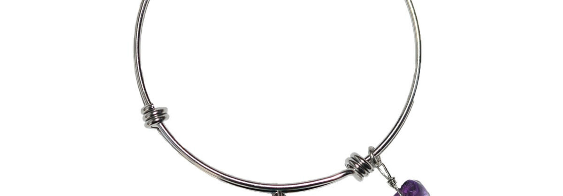 Circle Charm Bangle - Eagle Feathers by Corey Bulpitt