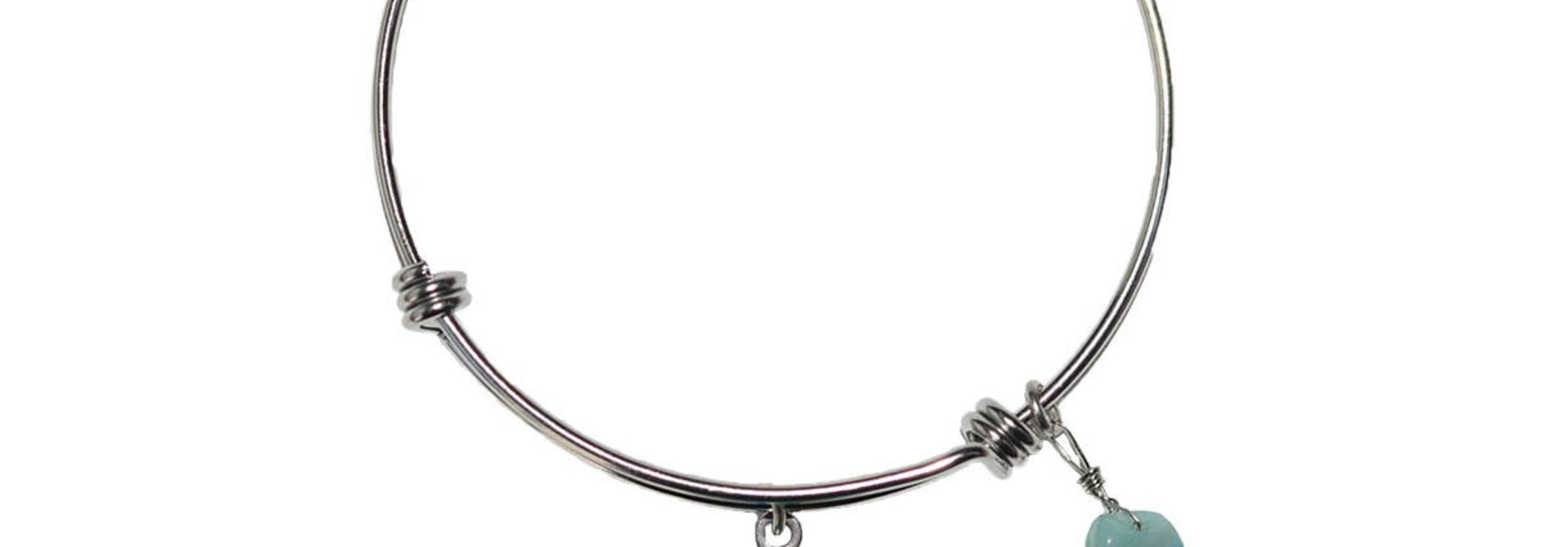 Circle Charm Bangle - Urban Wolf by Maynard Johnny Jr.