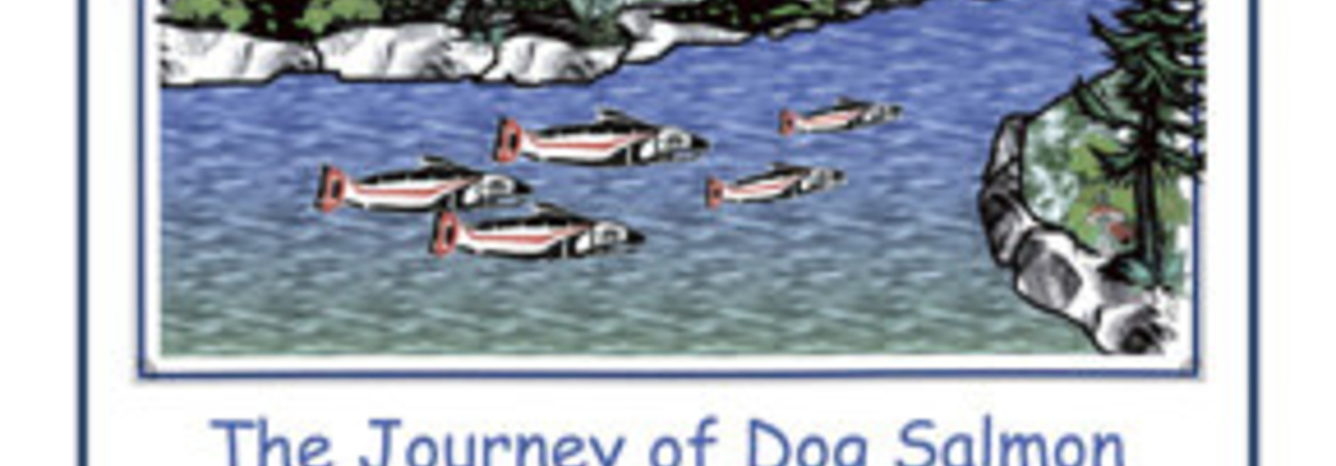Book-The Journey of Dog Salmon