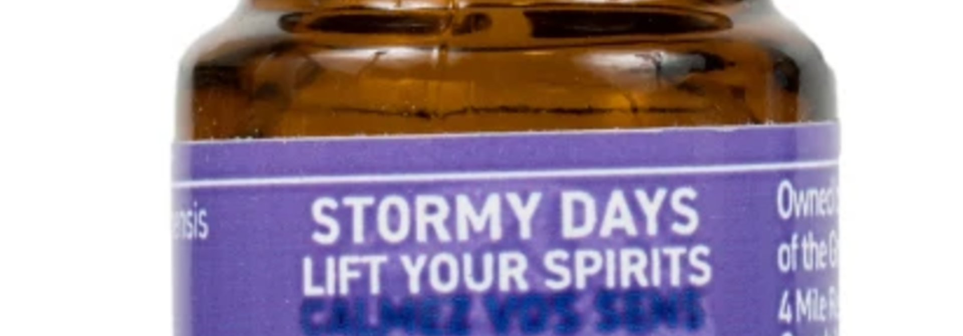 Great Bear Rainforest Essential Oil- Stormy Days