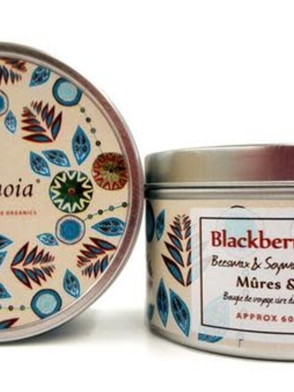 Sequoia 15hr candle Blackberry Sage by Sequoia