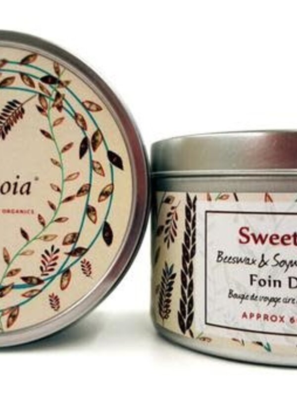 Sequoia 15hr Candle Sweetgrass by Sequoia