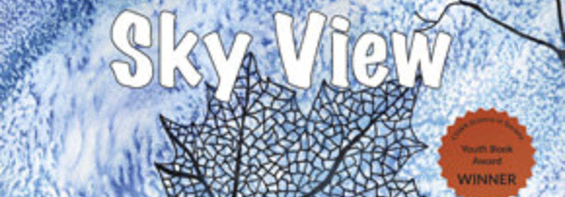Children's book- A salmon's sky view