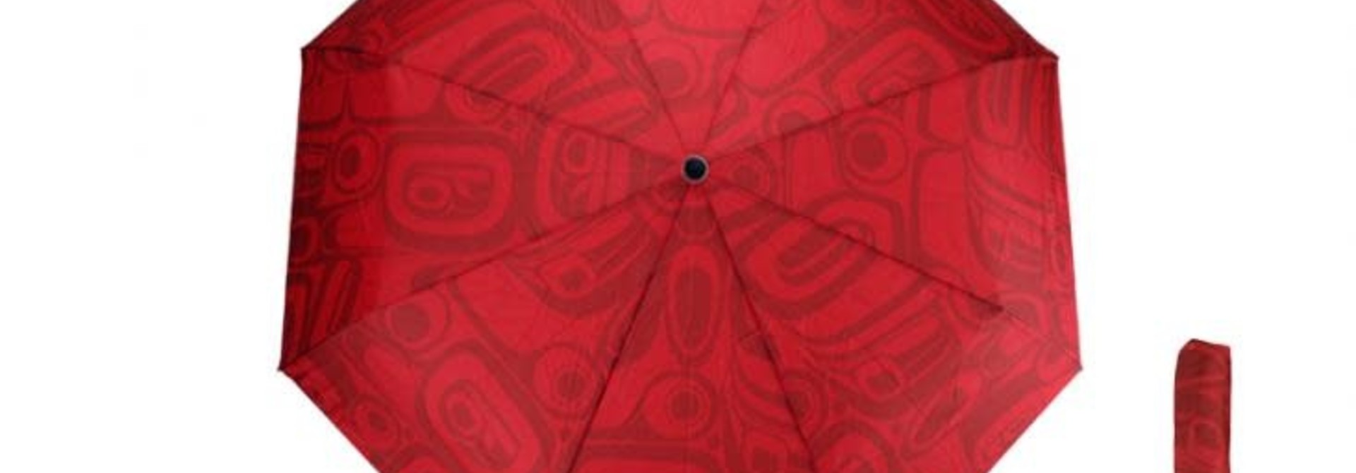 Umbrella KR Raven