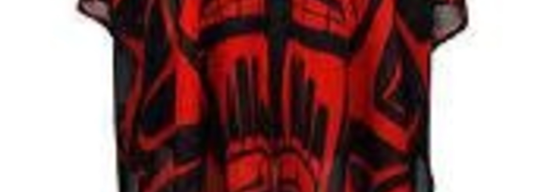 Sheer Chiffon Shawl - Longhouse by Jason Peters