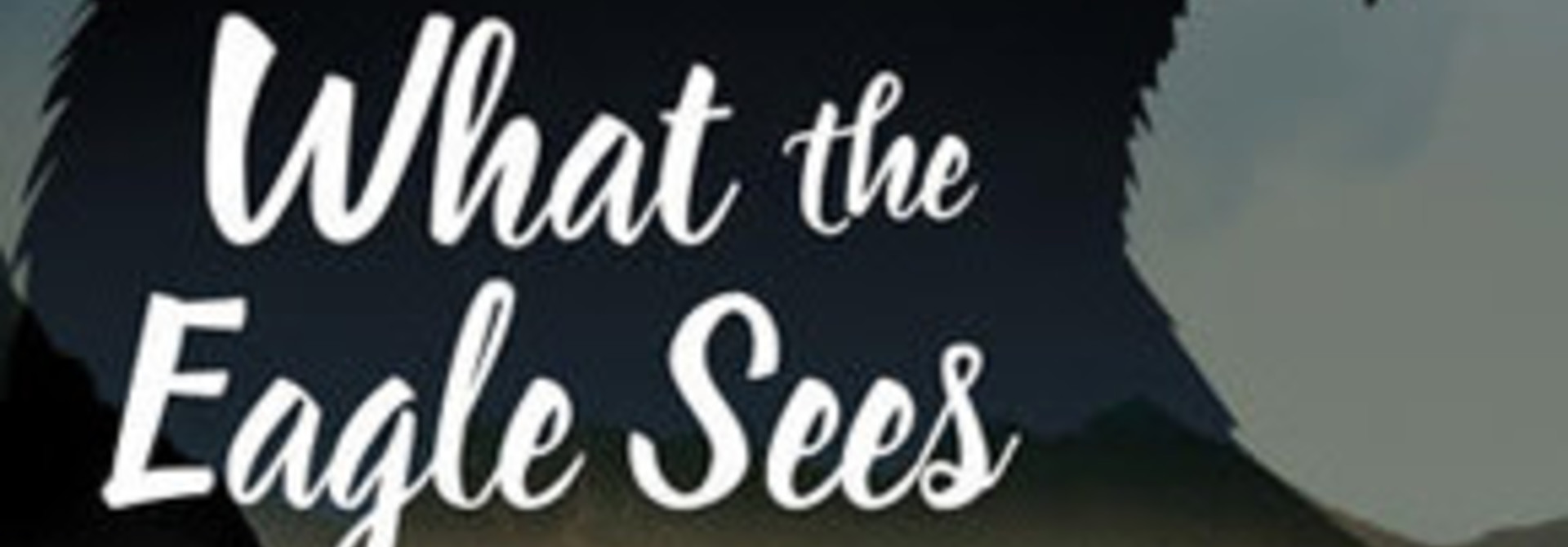 What the Eagle Sees