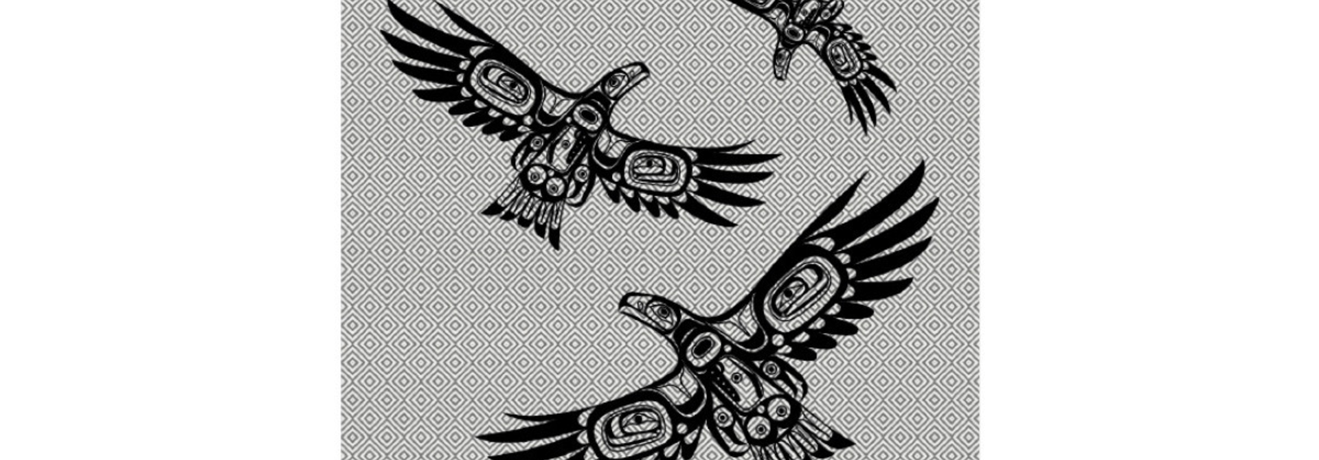 Small Cotton Artisan towel- Soaring Eagle- Corey Bulpitt